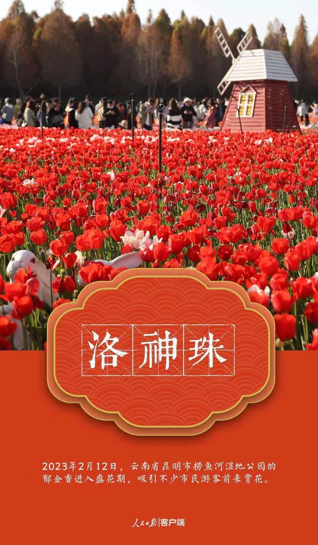 微信图片_202303222141257.jpg?x-oss-process=style/w10