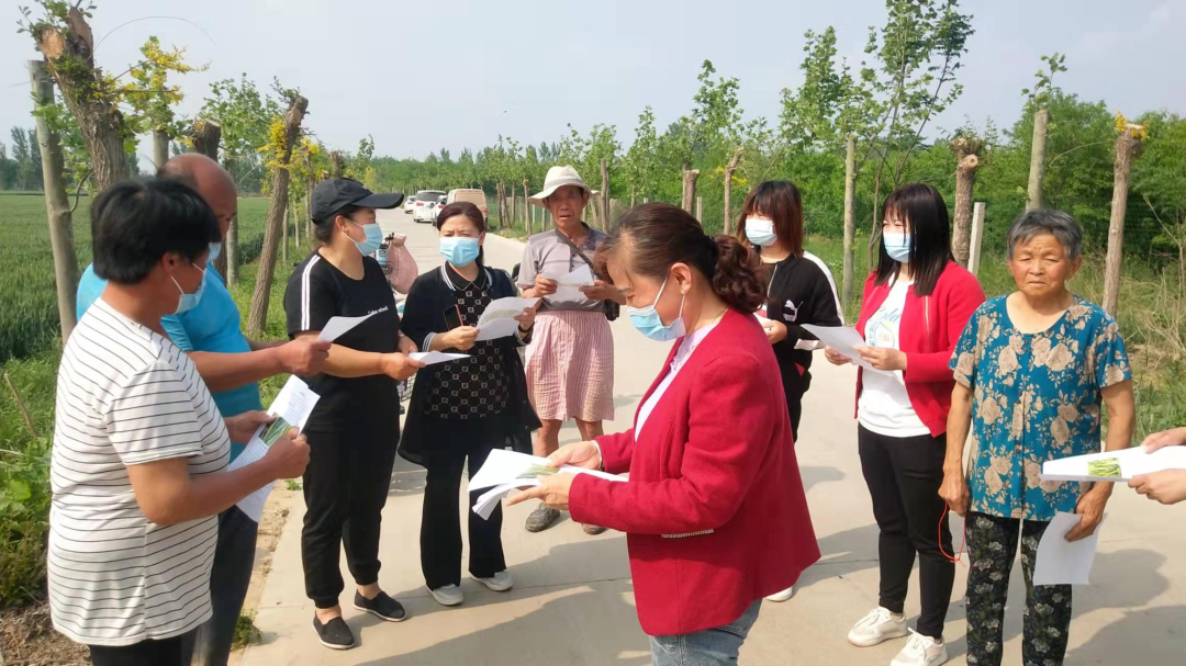 冠县烟庄街道积极做好条锈病防控确保小麦丰产丰收