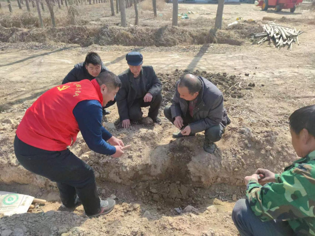 致富种植创业项目_致富种植养殖_种植致富经