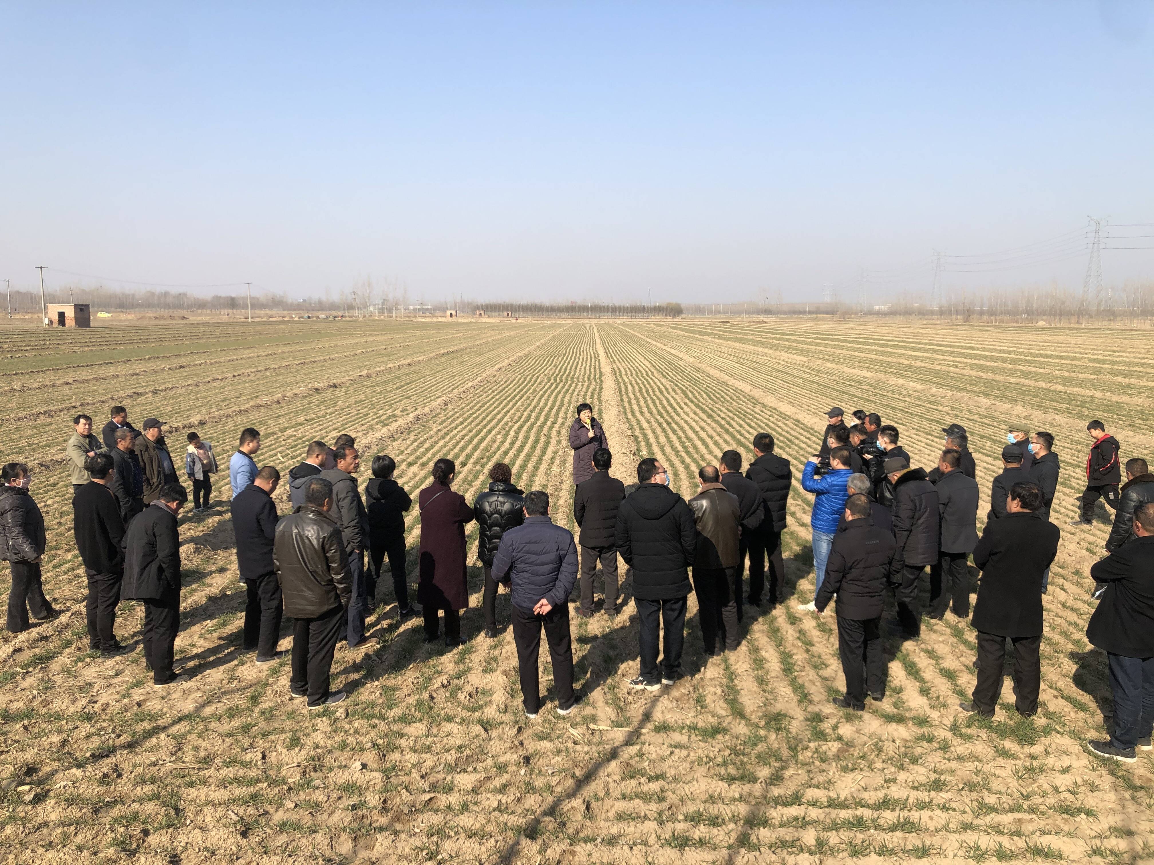 培训会特邀县农业农村局高级农艺师杜立芝就春季小麦管理技术等问题做