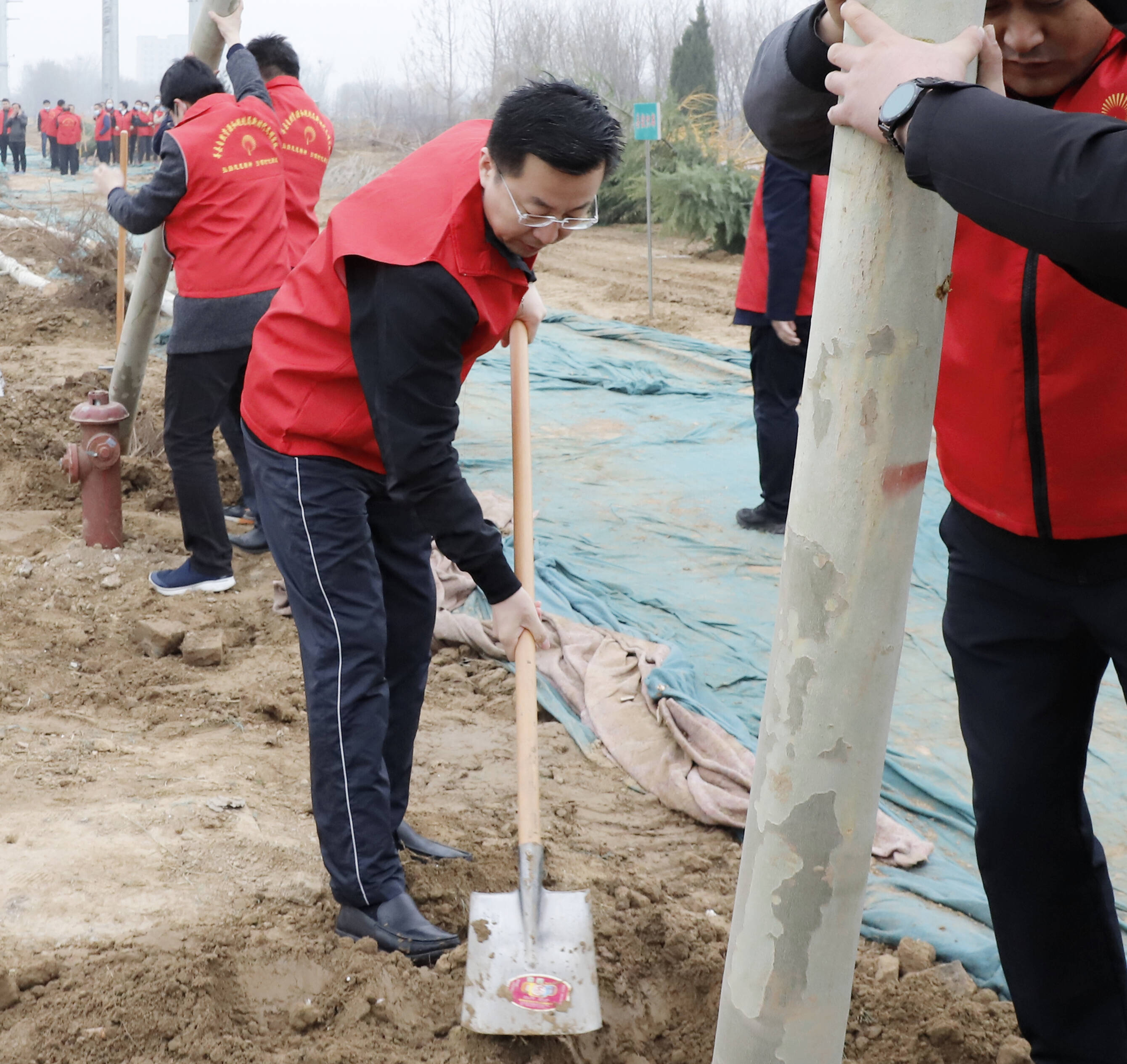 莘縣大地再添新綠王峰等縣領導帶頭參加義務植樹活動