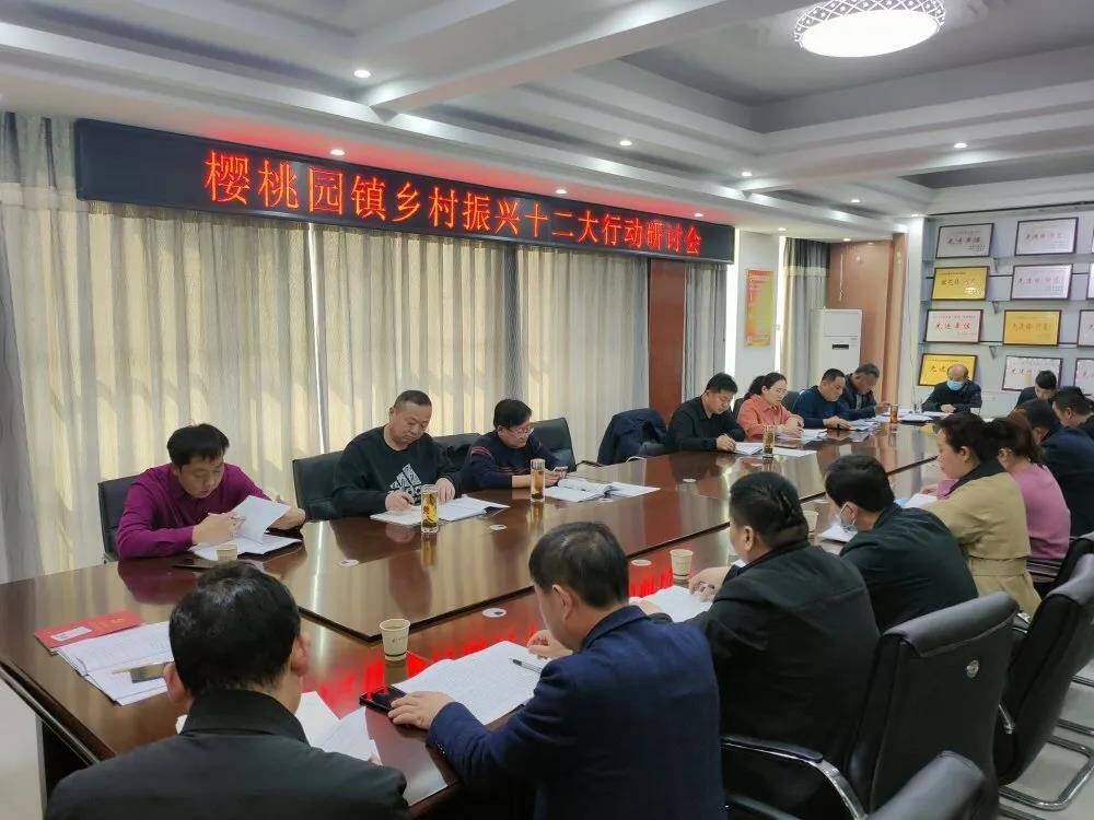 聊城市莘县樱桃园镇为乡村振兴高质量推进保驾护航