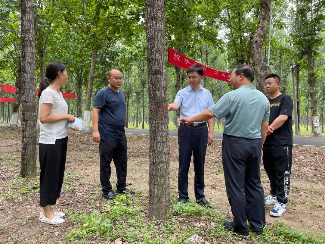 莘县提供有力司法保护共建林场生态绿