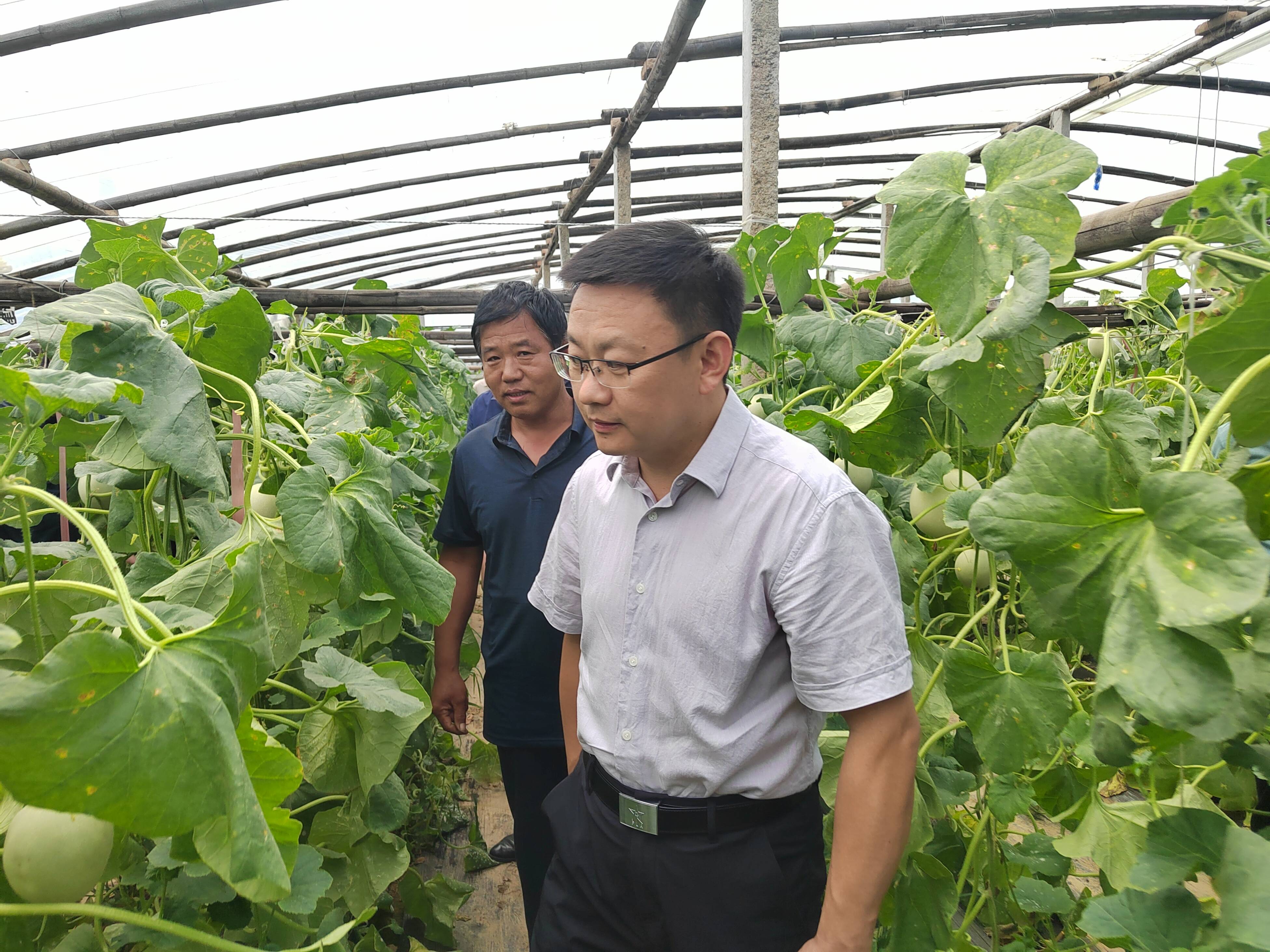 莘县融媒>齐鲁网·闪电新闻5月16日讯5月14日,县委副书记,县长张云生