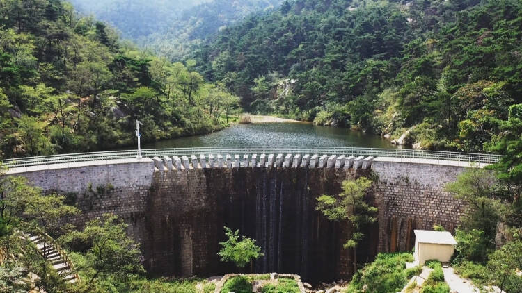 泰安新泰市国有太平山林场实干赢得山青林强