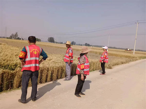 阳谷县定水镇厉兵秣马战三夏严阵以待保丰收