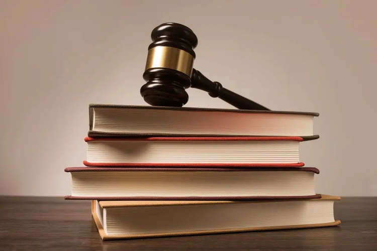 2025年，经行政复议后超九成案件未再进入诉讼或信访程序