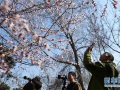 一场极致的气温震荡来了！济南初五飙升至25℃后猛降15℃以上