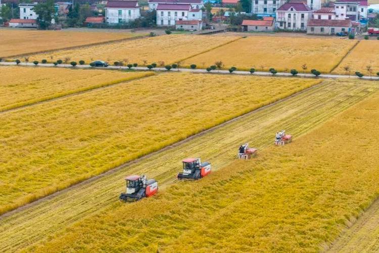 常态化帮扶新阶段怎么干?听听一线干部群众有啥想法