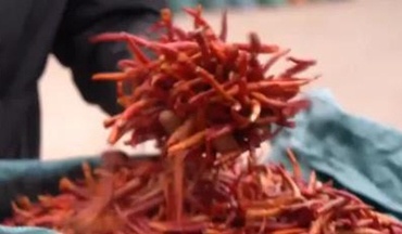 价格飙涨！这一市场，热辣滚烫