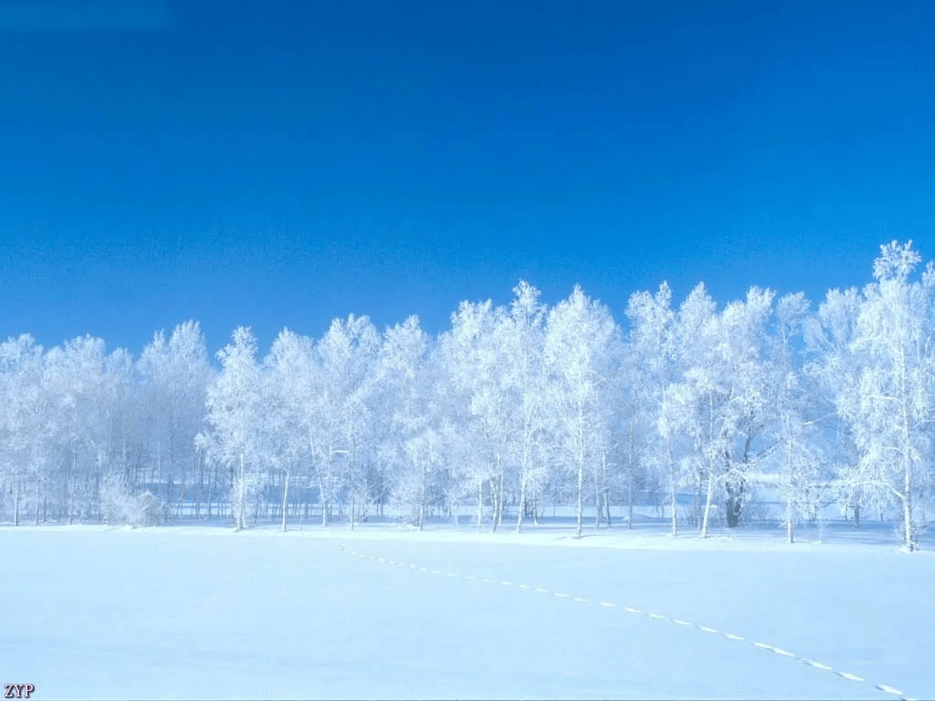 2026年第一天，山东最低气温-10.5°C，烟台北部和威海有中雪