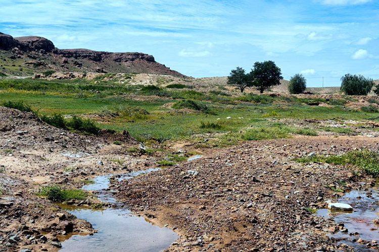 从“喊叫水”到“赛江南”，这里的日子大不一样了