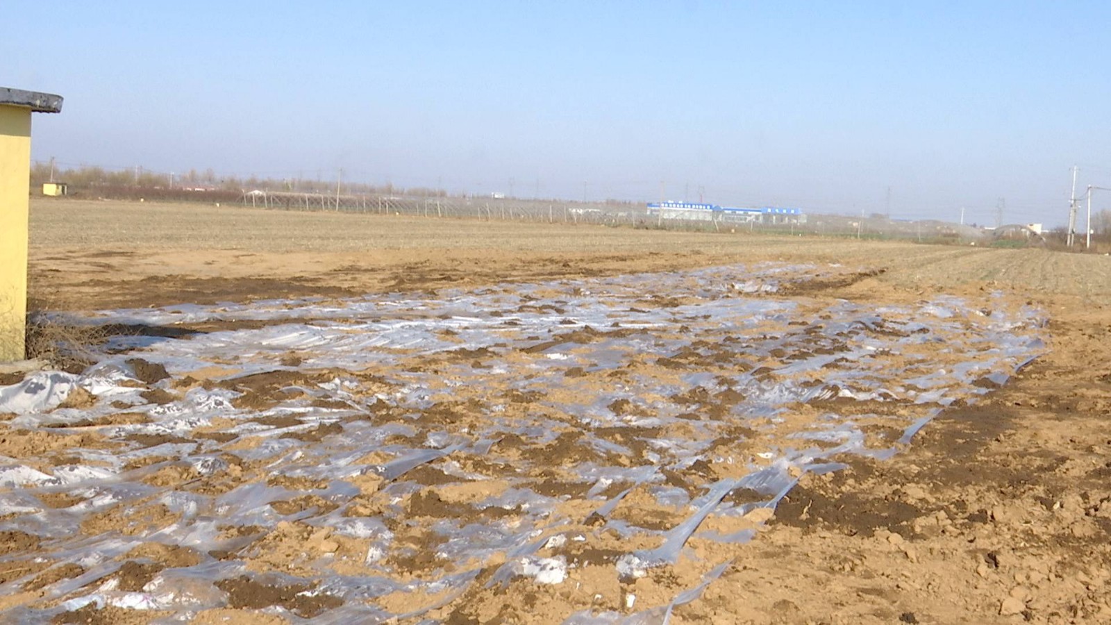 追踪报道：潍坊十几亩地被刮“地皮” 时隔半月仍油迹斑斑无人理
