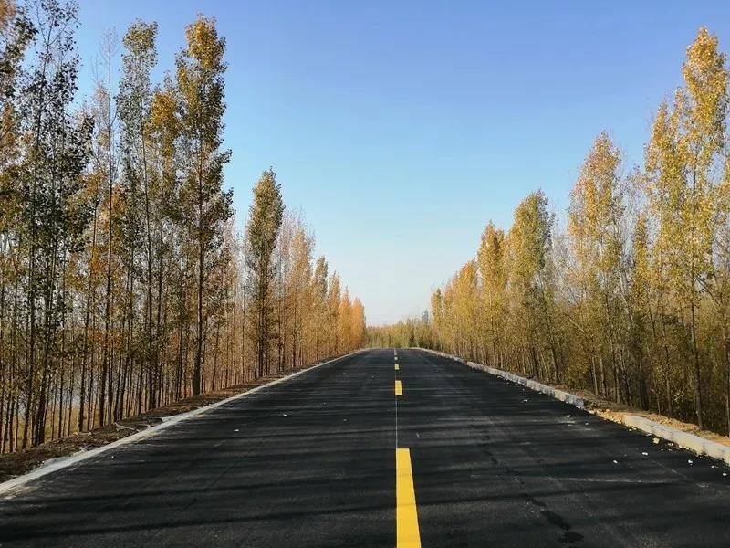 济宁环湖大道东线工程微山段全线贯通 具备年底全线完工通车条件
