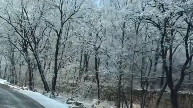 24秒丨一场小雪过后 邹平西董山上风景美如画
