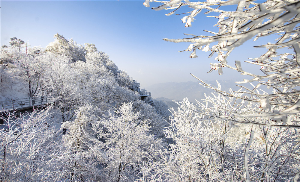 54秒丨临沂蒙山迎降雪 银装素裹一秒入冬