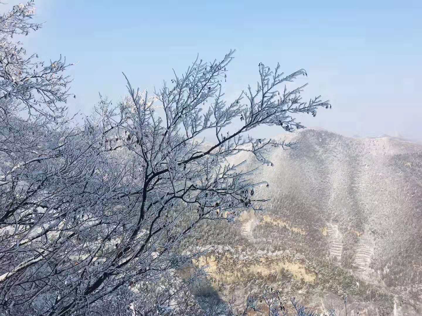 41秒｜雪后青州仰天山 凝霜挂雪景如画