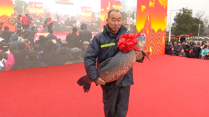 视频丨济宁第五届太白湖捕鱼节开幕 头网“鱼王”83斤重拍出333388元