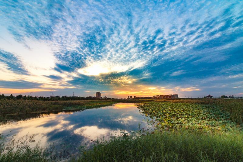 风景如画!德州新增3处国家湿地公园,一大波原生态美图来袭