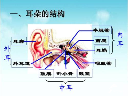 半规管功能可定量评估滨医科研团队建立耳平衡新机制实现新突破