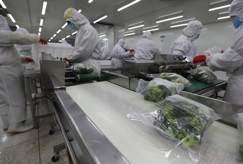 临沂沂南:复工复产!速冻蔬菜加工忙(组图)