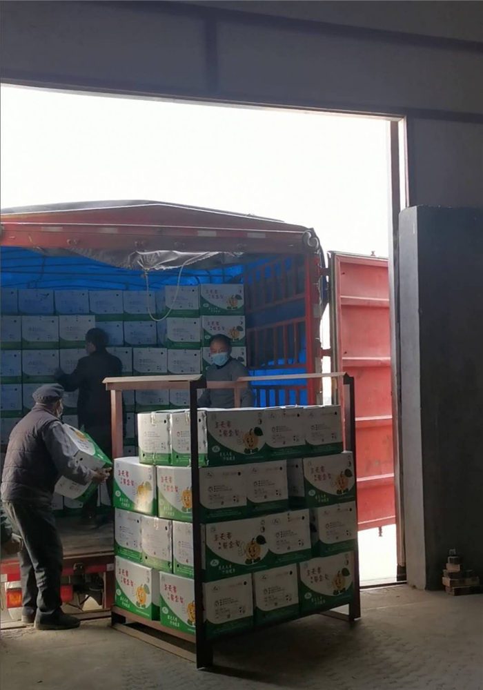 济宁民生据悉,济宁泗水县"圣天香"黄金梨基地由南陈村党支部书记夏理