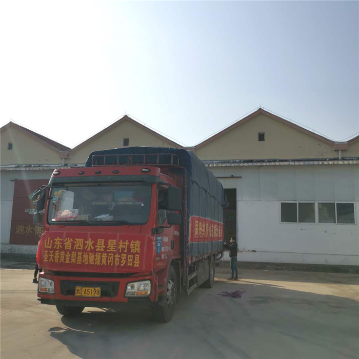 济宁民生据悉,济宁泗水县"圣天香"黄金梨基地由南陈村党支部书记夏理