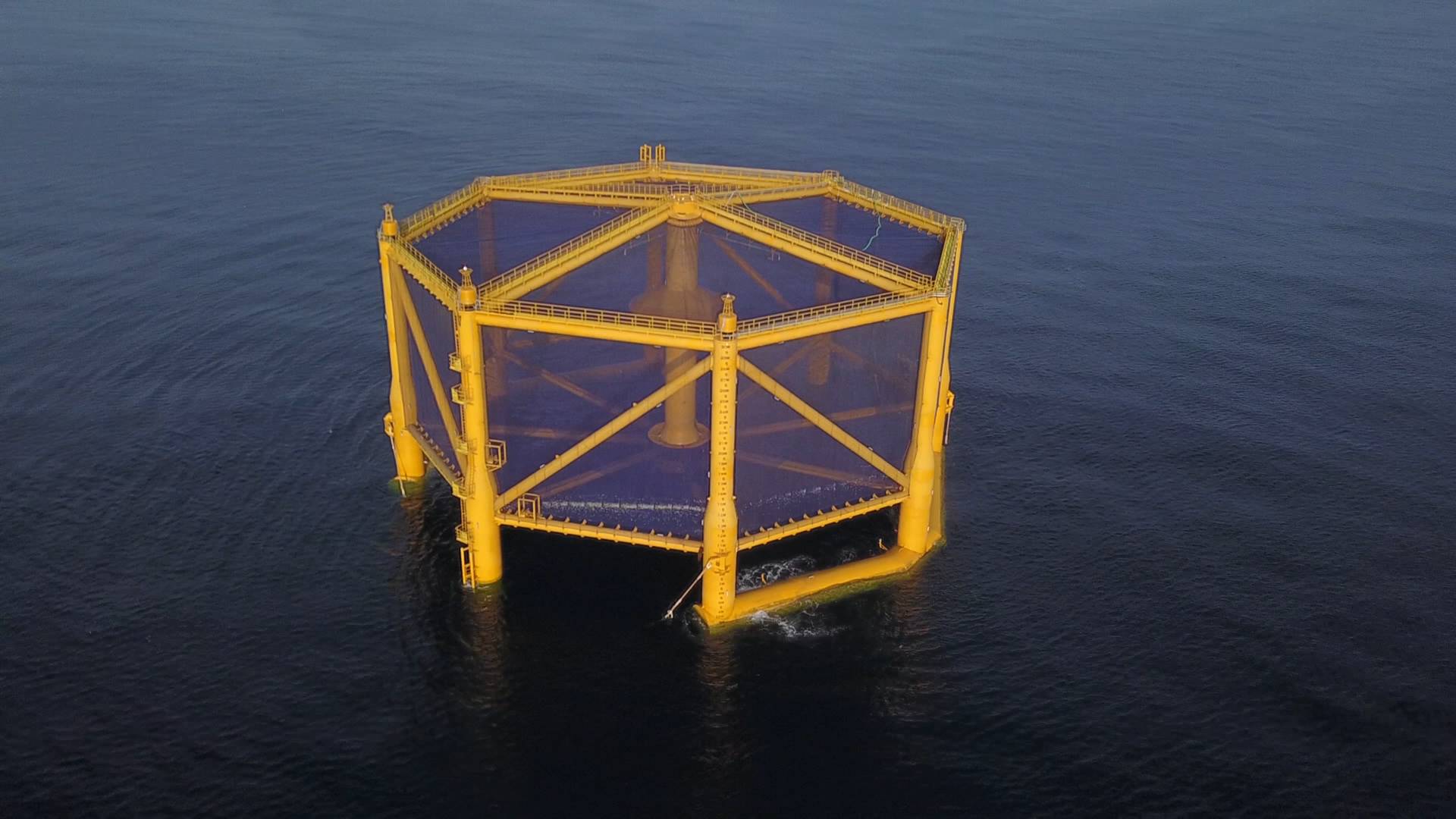 深海养殖从梦想变成现实揭秘深蓝三文鱼鲜嫩背后