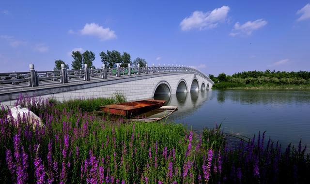 济宁汶上县莲花湖湿地景区3月14日起恢复开放