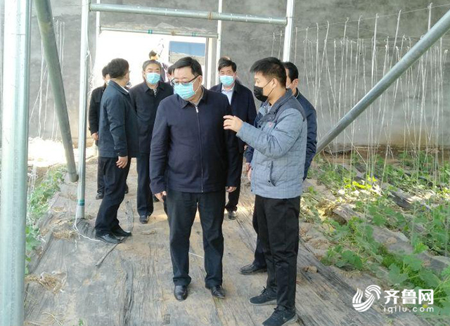 临邑县有多少人口