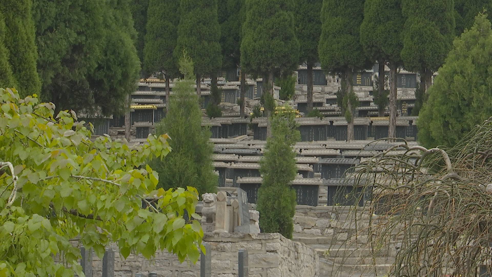 济南玉函山公墓暂停祭扫特殊家人鲜花代扫寄哀思