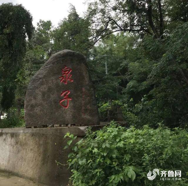 嫁到大山深處的女書記，全村致富路上的帶頭人！
