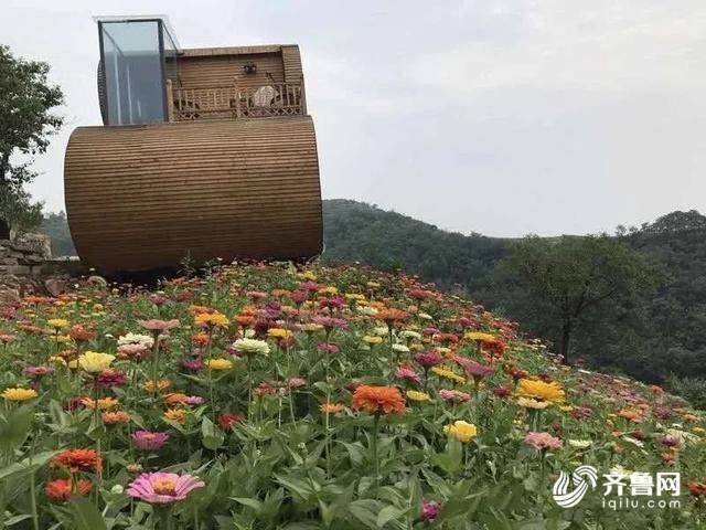嫁到大山深處的女書記，全村致富路上的帶頭人！