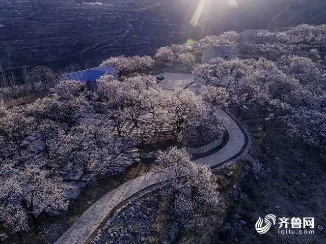 嫁到大山深處的女書記，全村致富路上的帶頭人！