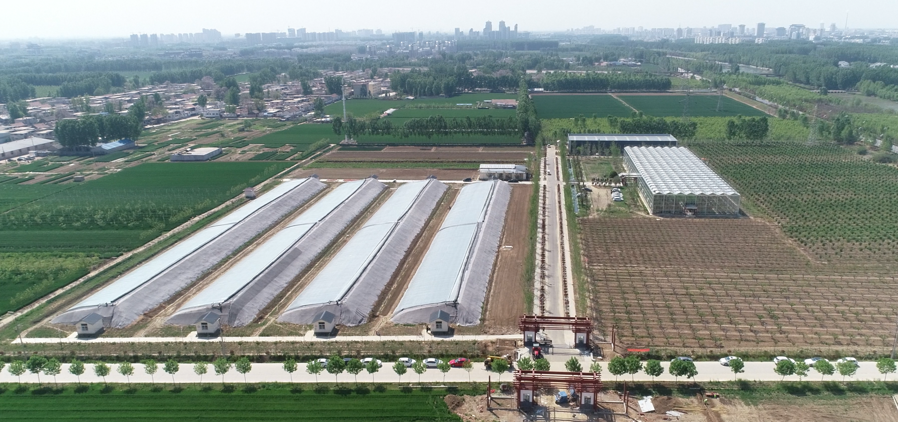 农业 文化 旅游新实践!曲阜儒源小镇打造国学教育融合新模式