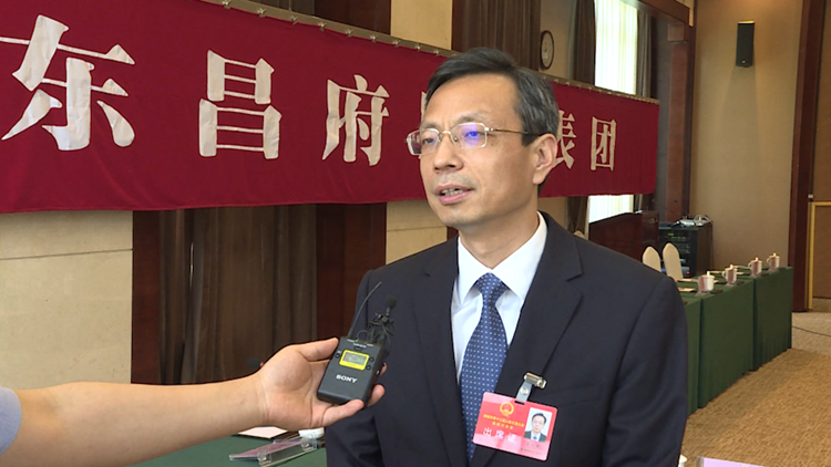 聚焦聊城两会东昌府区委书记荣红智聚焦重点项目优化发