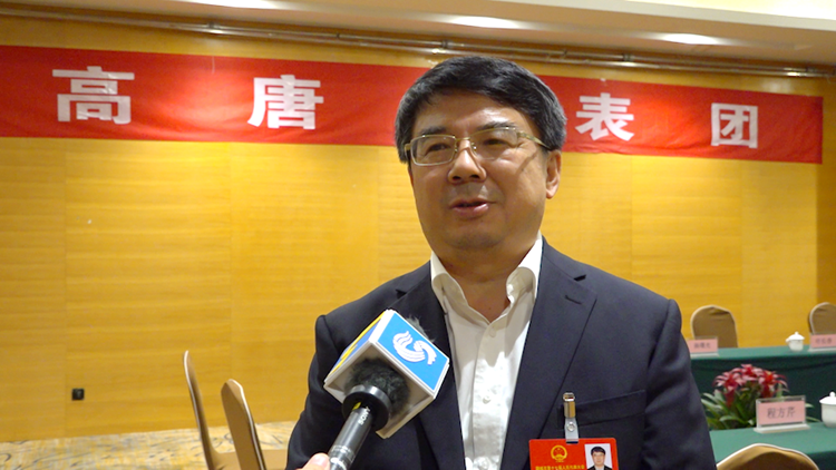 聚焦聊城两会|高唐县长刘奎忠:让最多跑一次成为上限 不用跑成为常态