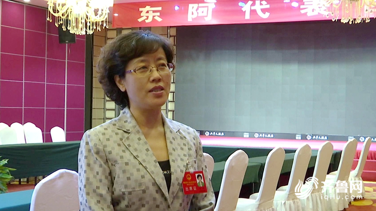 聚焦聊城两会东阿县委书记雷霞以更强力度抓好项目建设更优质量抓好