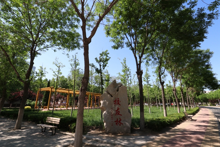 齐鲁校训丨德州学院:崇德启智 励志博学