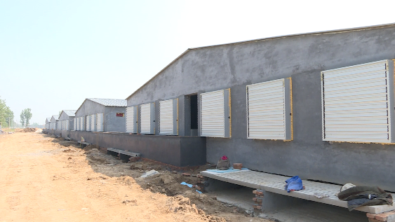 37秒丨冬天有地暖夏天吹空调东营广饶首个万头猪场建设热火朝天