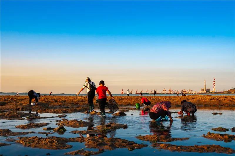 组图丨约上三五好友,一起去赶海