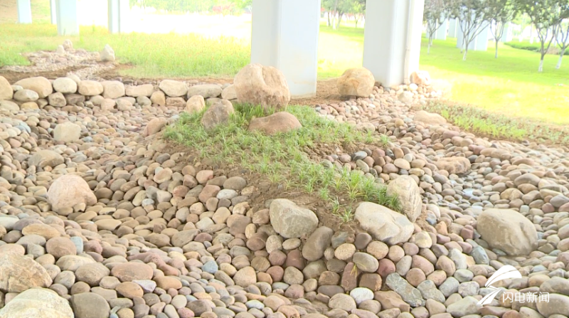 区市政园林服务中心借鉴枯山水理念,排布河卵石,制定出建设旱溪景观的