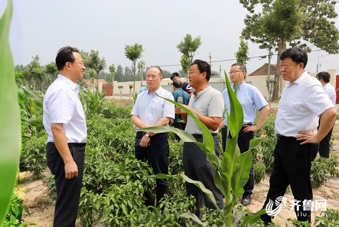 武城县人民政府与水发农业集团辣椒产业战略合作签约仪式举行