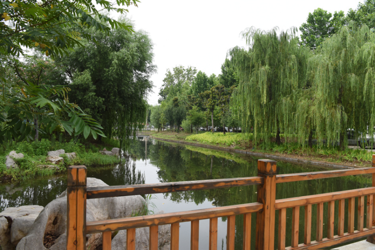 生态美景绕古城 济宁市兖州区泗河景观带扮靓绿色生活