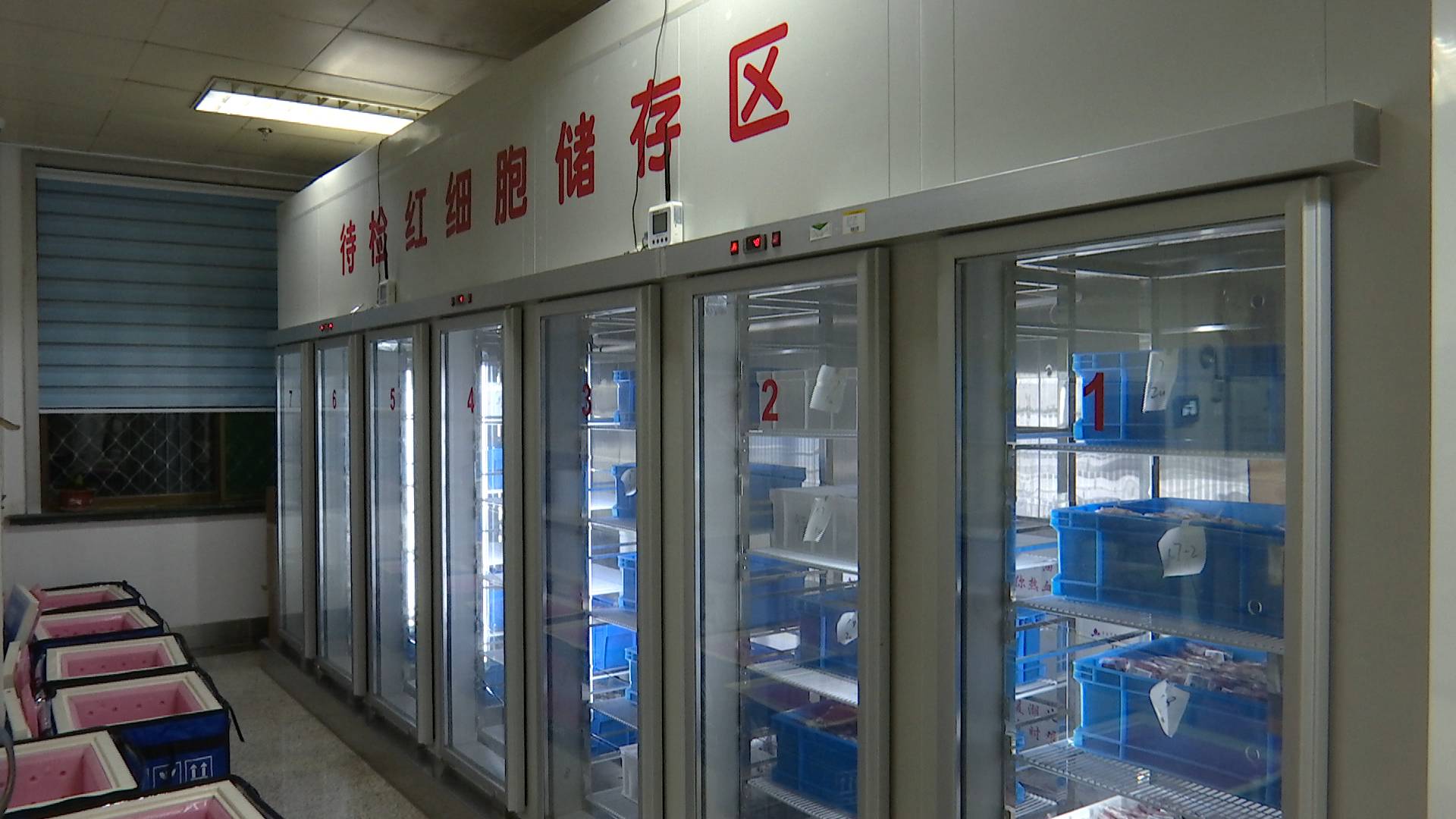 劲爆!山东脐血库存血费用"承诺男孩"-第2张图片-空竹博客