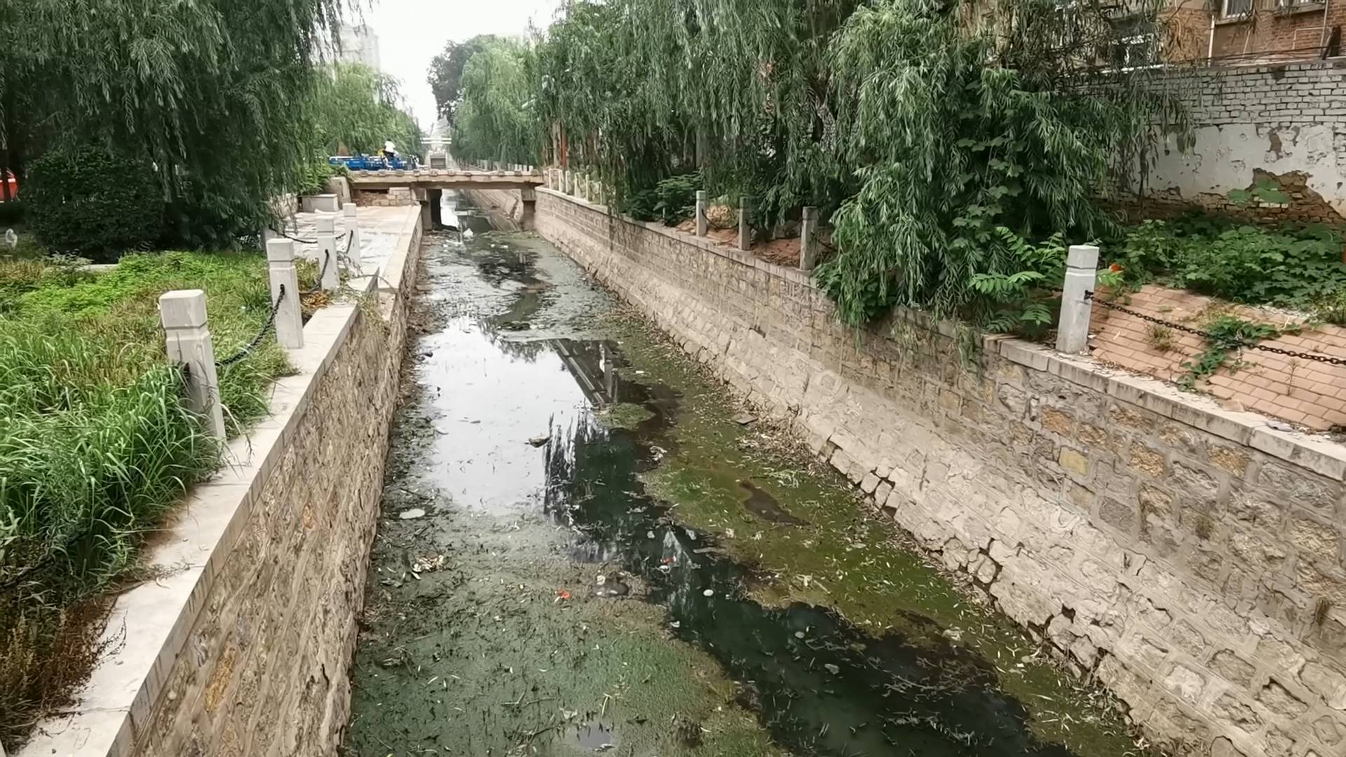 问政山东丨治理6年仍是臭水沟,聊城青年渠何时变"清"?_山东要闻_山东