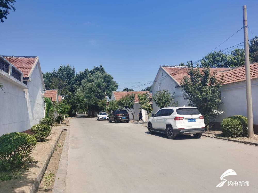 广饶县大王镇刘集后村的红绿双赢发展之路