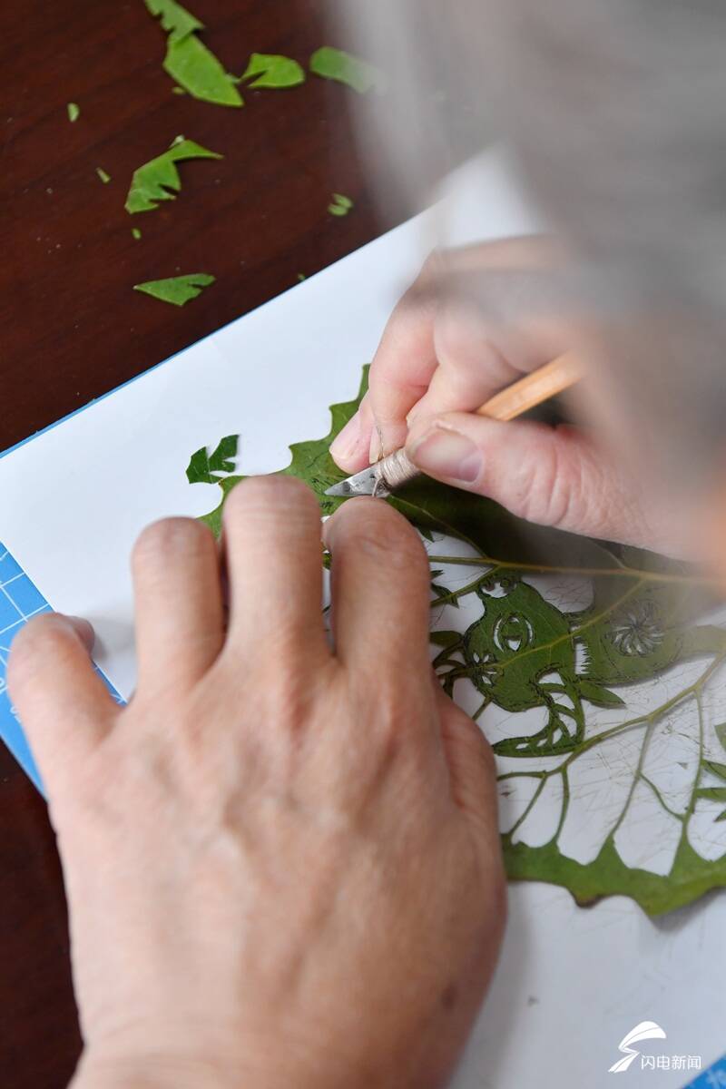 影像力|不让传统艺术失传!济南65岁老人坚守叶雕技艺传承