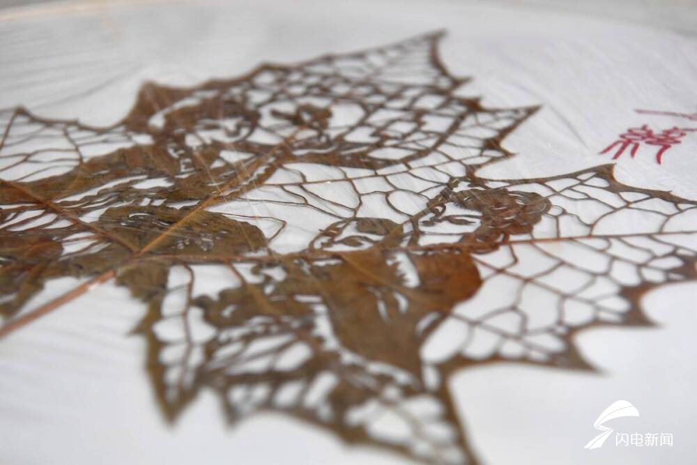 影像力|不让传统艺术失传!济南65岁老人坚守叶雕技艺传承