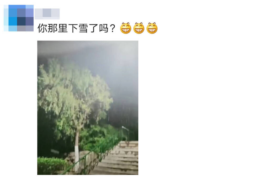 山东落雪也暖心发现那些藏在朋友圈里的生活点滴 科教社会 山东新闻 新闻 齐鲁网